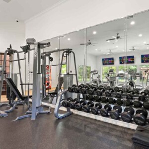fitness center free weights