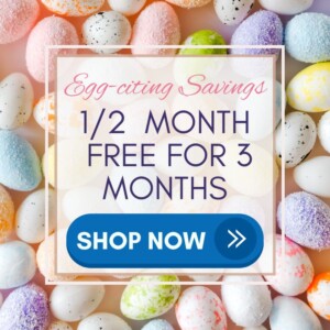 1/2 month free for 3 months